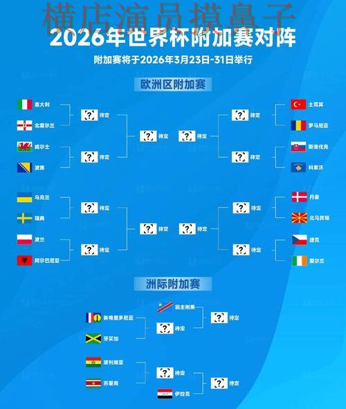 世界杯竞猜平台深度评测报告：数据分析+直播与实际体验总结 - World Cup 2026